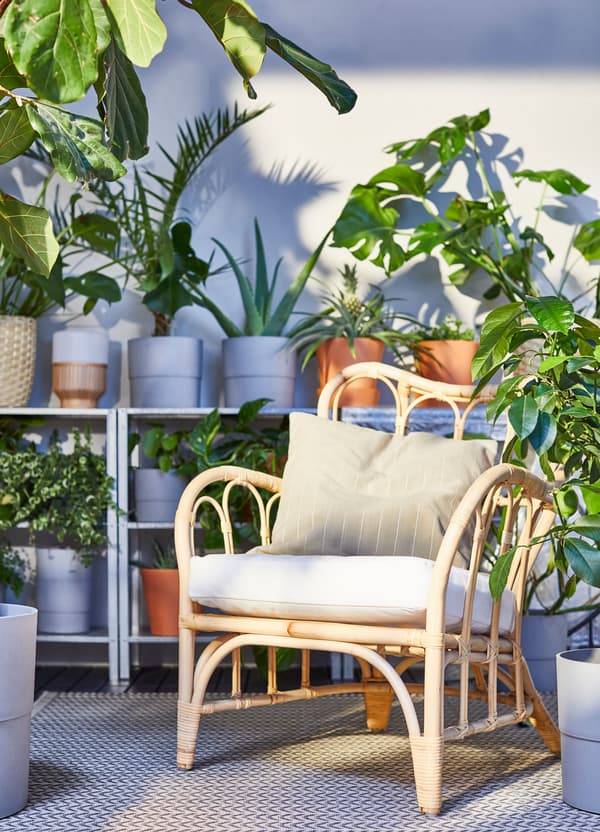 كرسي بذراعين للأماكن الخارجية MASTHOLMEN من ايكيا مصنوع من الروطان، موضوع بجوار رفوف مفتوحة مغطاة بأواني نباتات.