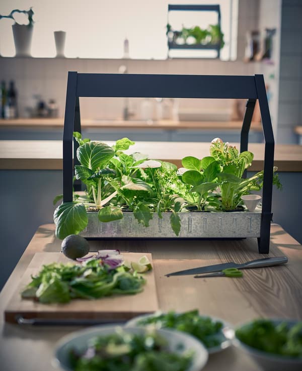KRYDDA/VAXER grow kit with 15 pots, 1 tier