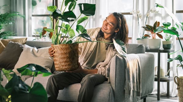 クッションがあるライトグレーのソファに座っている人が大きな鉢植えを持っている。後ろの窓にホワイト/グレーのカーテンが掛かっている。
