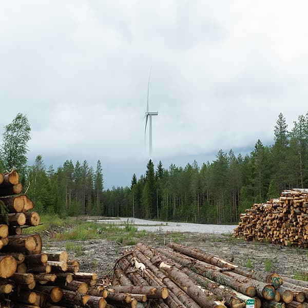 Kuva IKEA-tuulipuistosta, taustalla tuulimylly ja etualalla puupinoja.