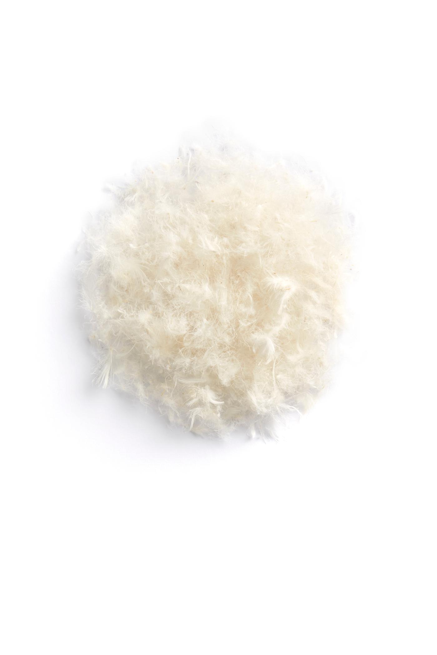 Kuvassa on tyynyn täytteenä käytettävää höyhentä ja untuvaa.