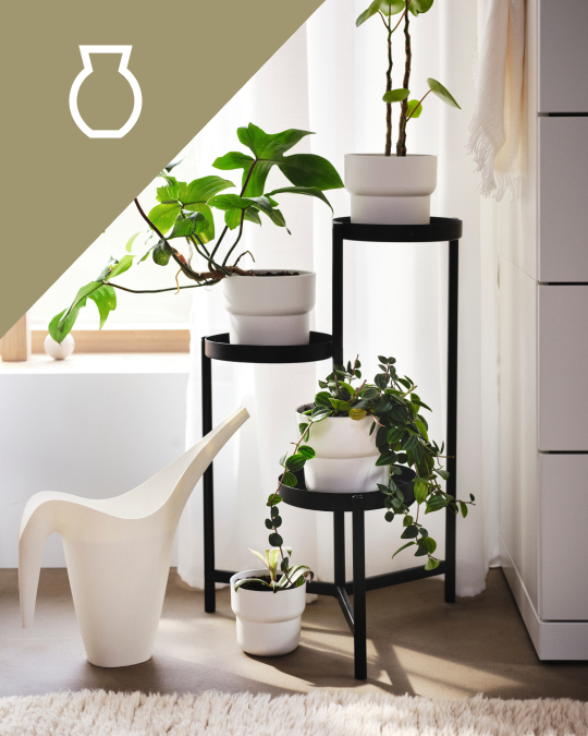 La esquina de una habitacióncon un soporte para plantas de 3 niveles y una regadera en el piso.