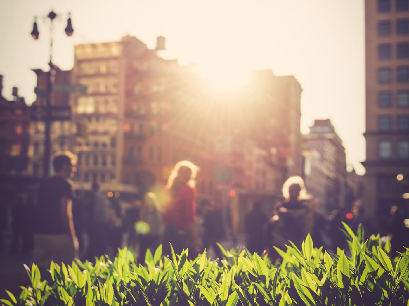 La luz del sol brilla a través de un par de edificios iluminando hierba verde radiante. Al fondo se ve gente caminando.