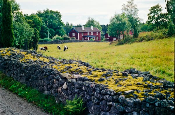 La sede de diseño de IKEA se encuentra en Småland, en medio de un hermoso paisaje con bosques, prados y lagos. Se ubica al sur de Suecia y aquí es donde comienza IKEA. Los inicios de la empresa.