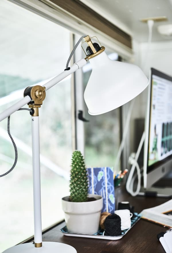 Lampe de bureau, cactus et autres sur un bureau 