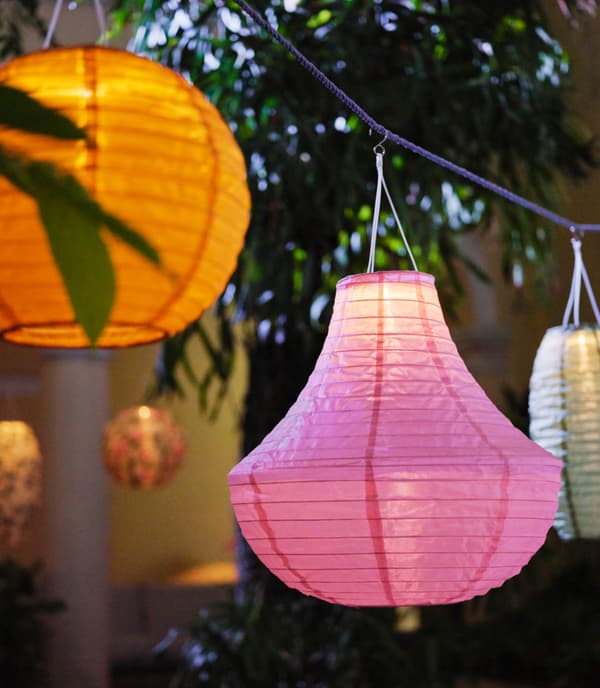 Lanternes dans les coloris orange, rose et blanc suspendues sur une corde bleue, des feuillages à l’arrière-plan.
