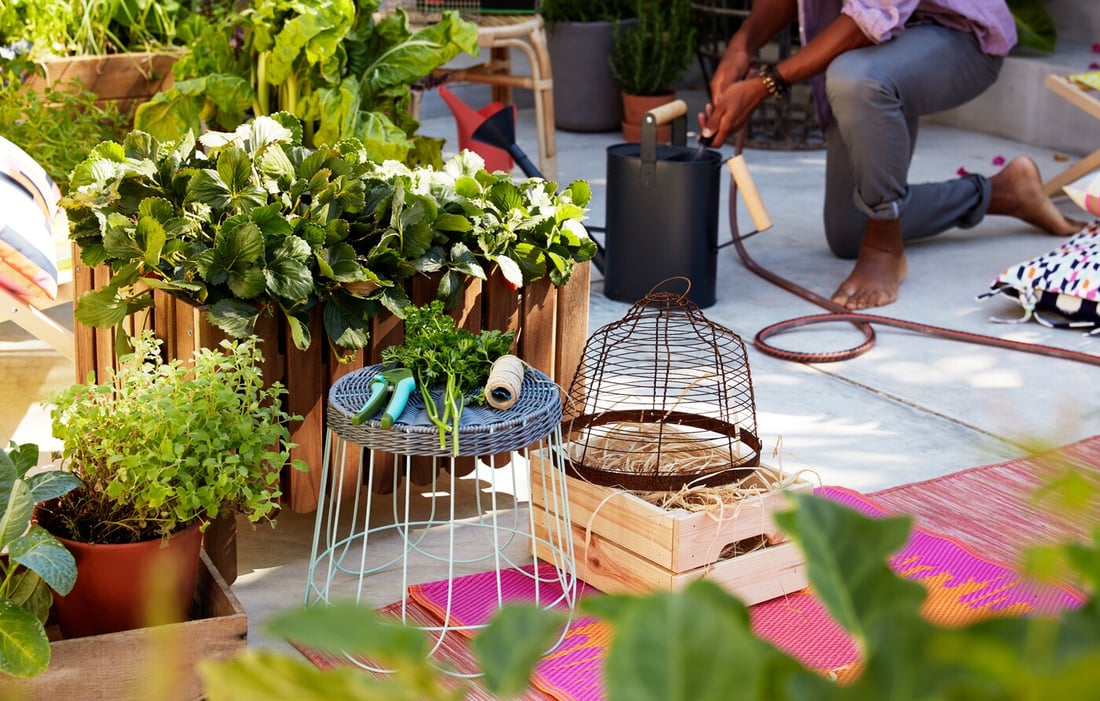 Plant Ideas Indoor Garden Indoor Planting IKEA