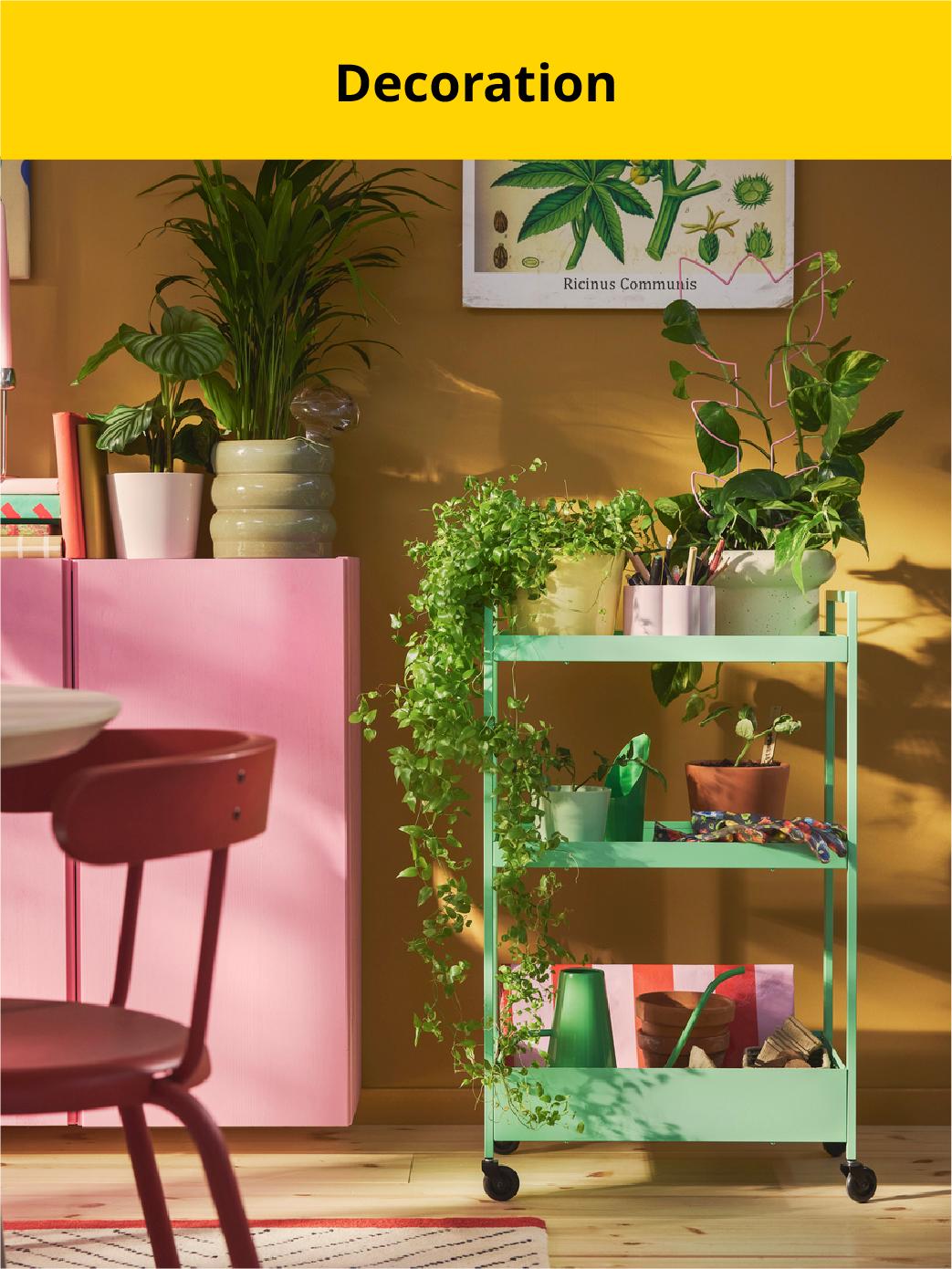 Last chance to buy decoration products