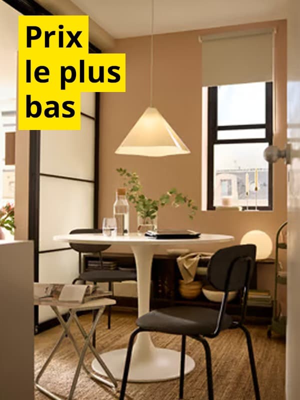 Le prix le plus bas