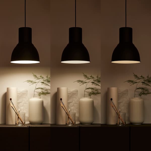 LED bulb 1000 lumen wireless dimmable white spectrum/globe opal white