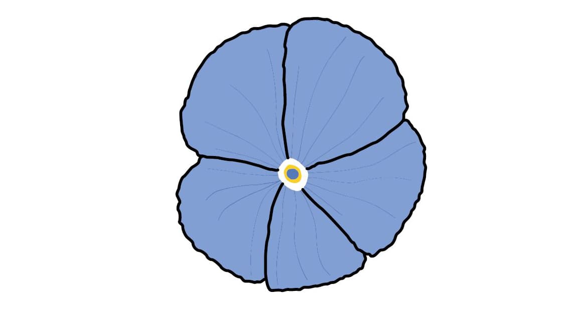 Лен
