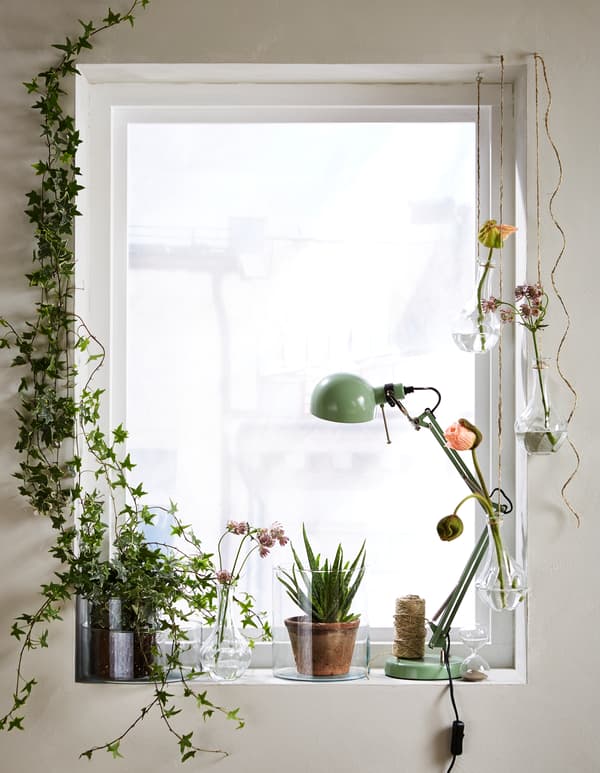 Let different varieties of fresh cut flowers and green plants replace the curtains. IKEA has the vases you are looking for, like VILJESTARK. Here a window is given a green setting with flowers and plants.