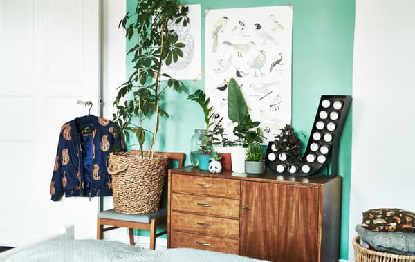 Let kids look after big plants as well as small ones.