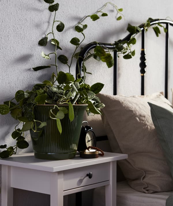 Letto con pianta rampicante intrecciata alla testiera nera - IKEA