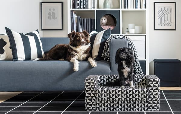 Link to IDEAS blog 'A better everyday life for the many - pets' - image of a living room with two dogs and a cat lounging in style.