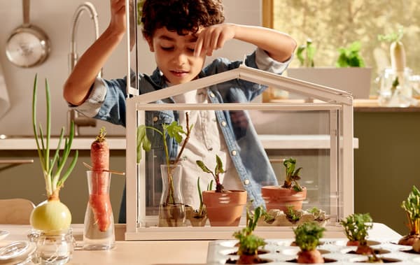 Link to 'Let the growing season activate your child' - image of a boy peering down on young plants in a SOCKER greenhouse.