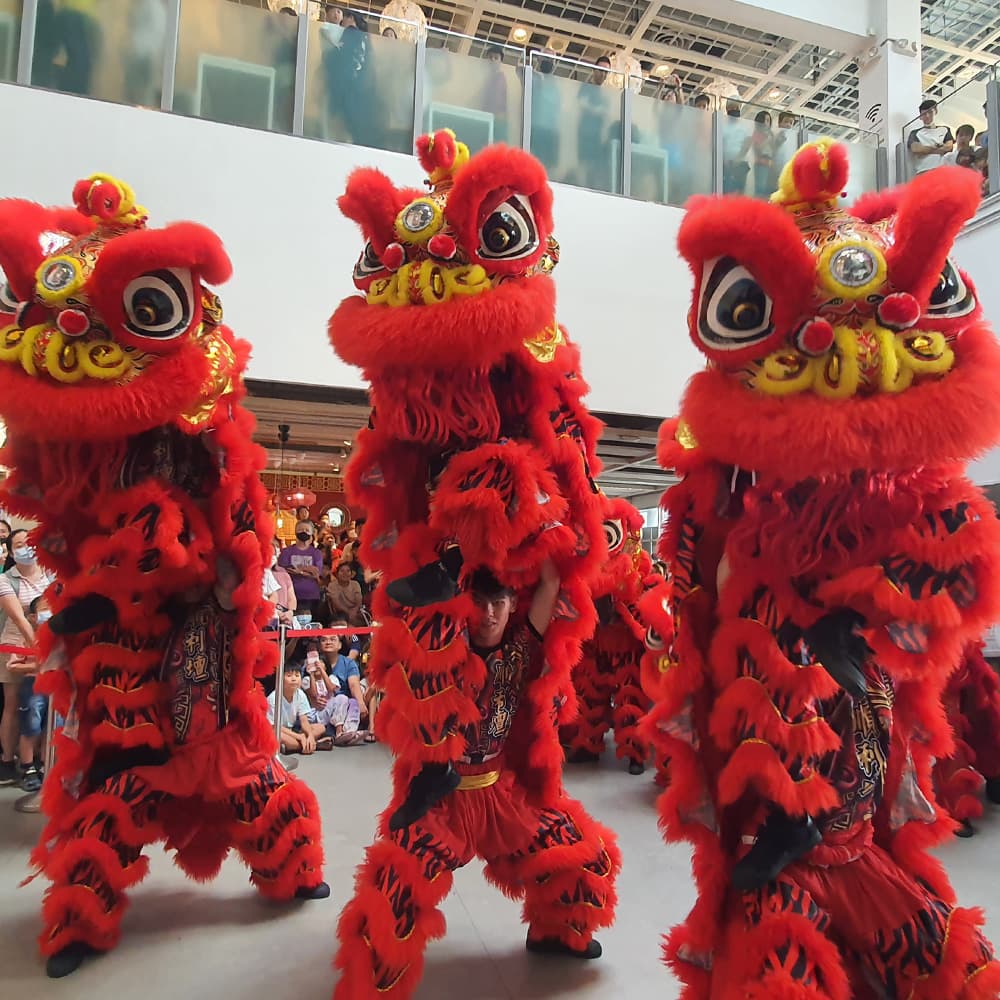 Lion dance performance