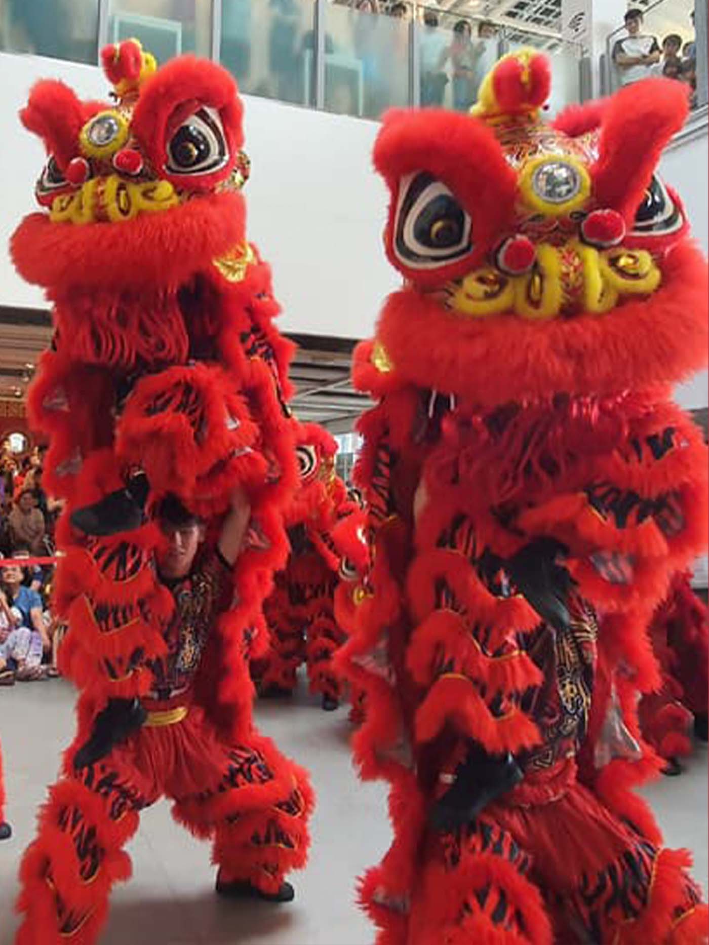 Lion dance performance at IKEA Singapore