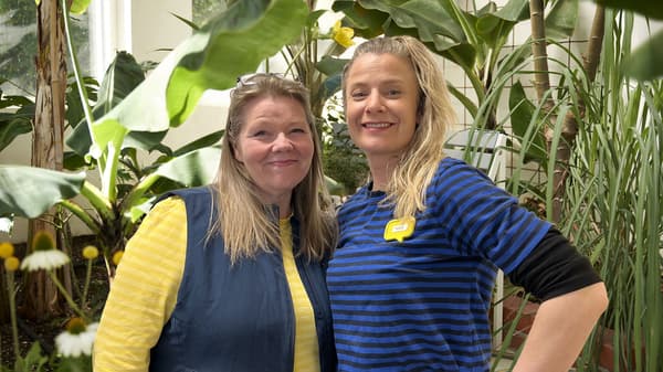 Gå til sendingen