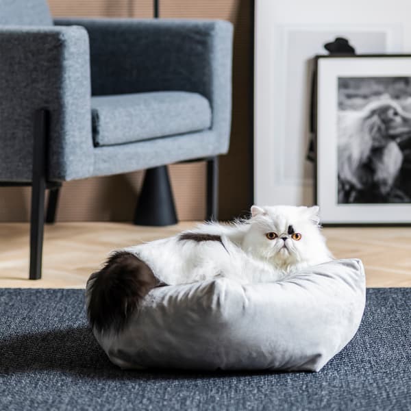 Living room interior with armchair, art, parquet flooring. A cat lies on a pouffe, which in turn sits on a rug.