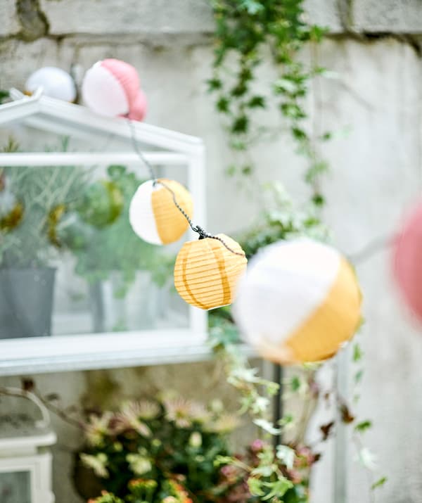 Llums de paper petits i rodons, uns de color groc i blanc i d'altres de color blanc i rosa, pengen d'un fil en un balcó amb una heura trepadora al fons.