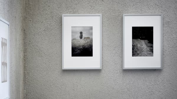 LOMVIKEN series