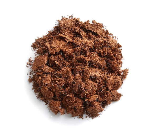 Lorezaintzarako substratua. Kaktusetarako lurra.