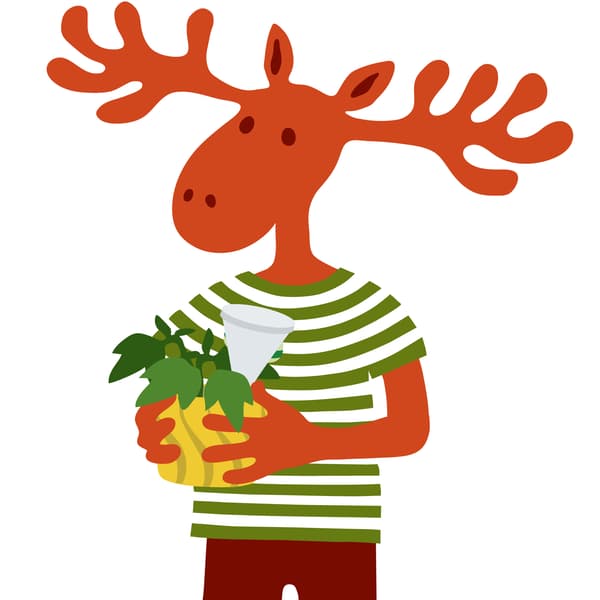 Los Škudlík drží rostlinu v květináči se samozavlažovací vložkou.