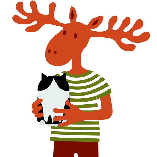 Losík drží úložný priestor v tvare mačky GREJSIMOJS.