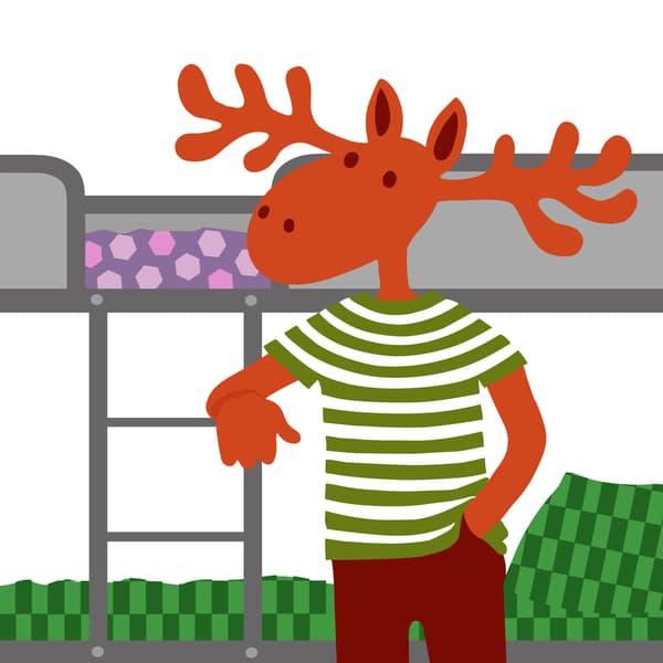 Losík stojí pred poschodovou posteľou.