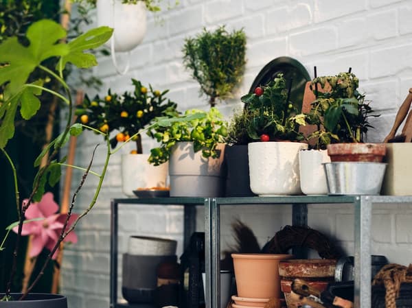 Maceteros de colores blancos y negros con plantas en su interior sobre una repisa de terraza. Detrás del mueble hay una pared de ladrillos blanca.