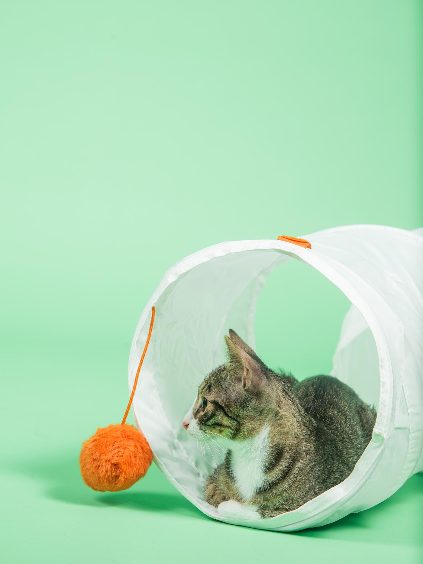 Mačka leži u belom tunelu za igru sa narandžastom lopticom na zelenoj pozadini.