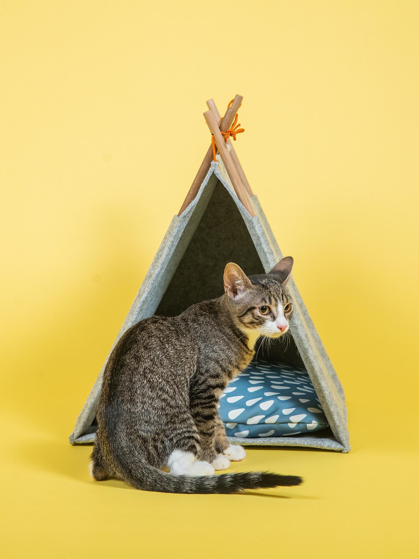 Mačka sedi ispred sivog šatora za kućne ljubimce sa drvenim okvirima i plavim jastukom sa belim šarama, na žutoj pozadini.