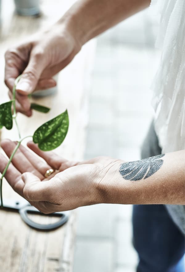 Main dont le poignet est orné d’un tatouage de feuille en train de tenir une feuille.
