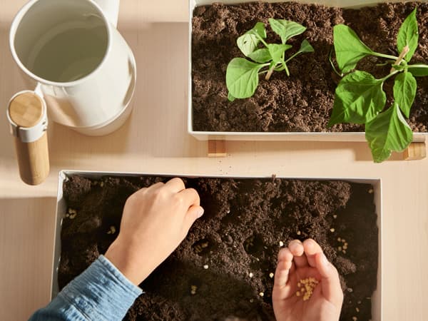 Mains qui jardinent