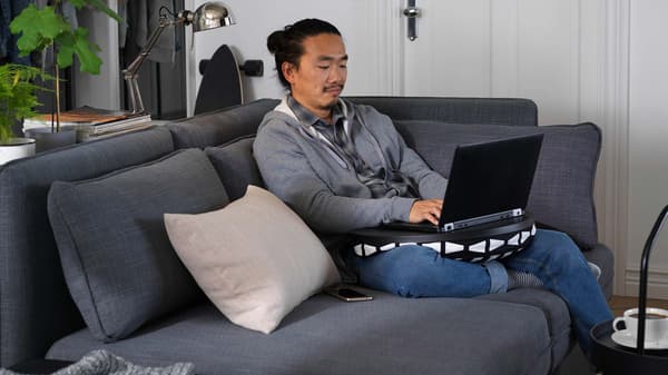 Man on grey IKEA sofa uses laptop. Plant and metal lamp in background.