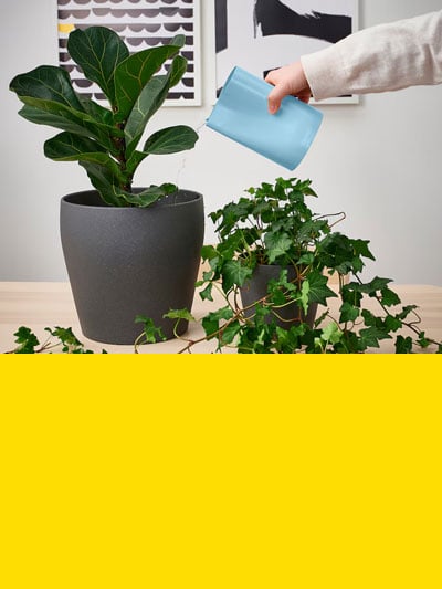 Man sieht eine Hand die mit einer kleinen blauen Gieskanne Blumen in grauen Blumentöpfen gießt und darunter einen gelben Balken.