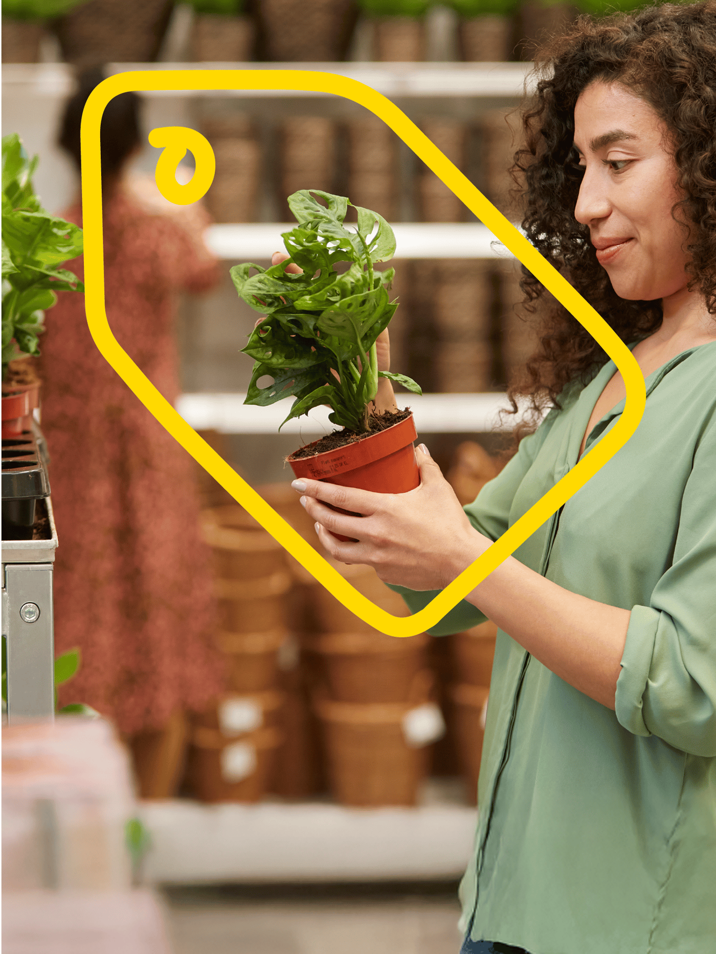 Member discounts and offers  