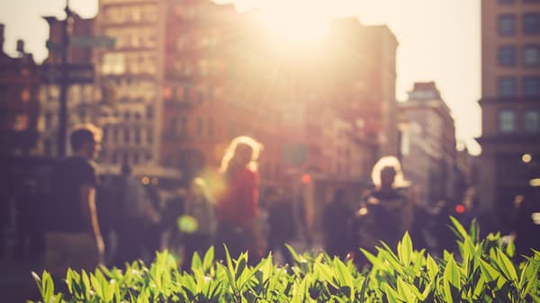Menschen hinter grüner Grasfläche vor Wohnhäusern im Sonnenuntergang