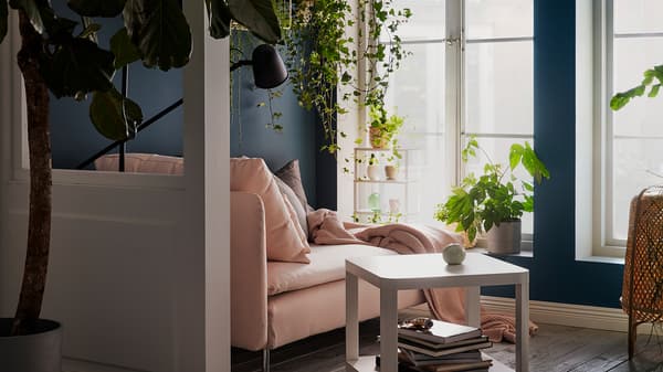 Méridienne près d’une grande fenêtre ensoleillée, avec des coussins, un jeté et une lampe de lecture. Plantes sur le rebord de la fenêtre, suspendues et sur des étagères murales.