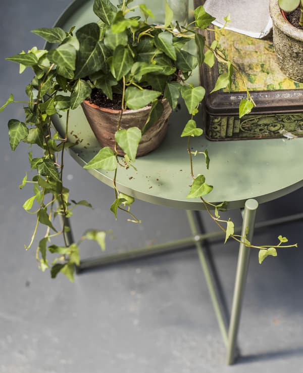 Mesa bandexa con plantas e accesorios decorativos.