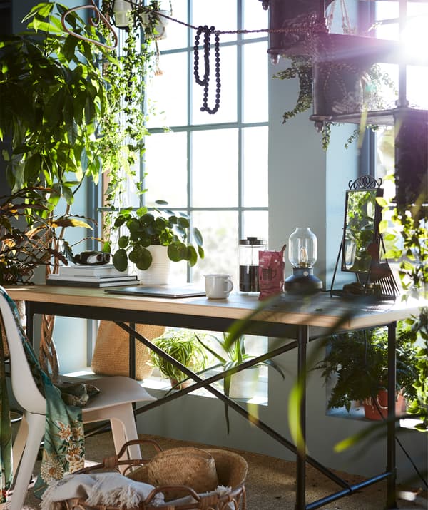 Mesa de pequeno-almoço com muitas plantas à volta, reais e artificiais, como a planta artificial em vaso FEJKA.