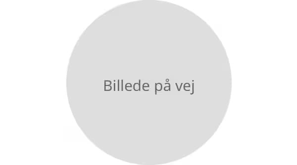 midlertidigt billede, Charlotte Jensen