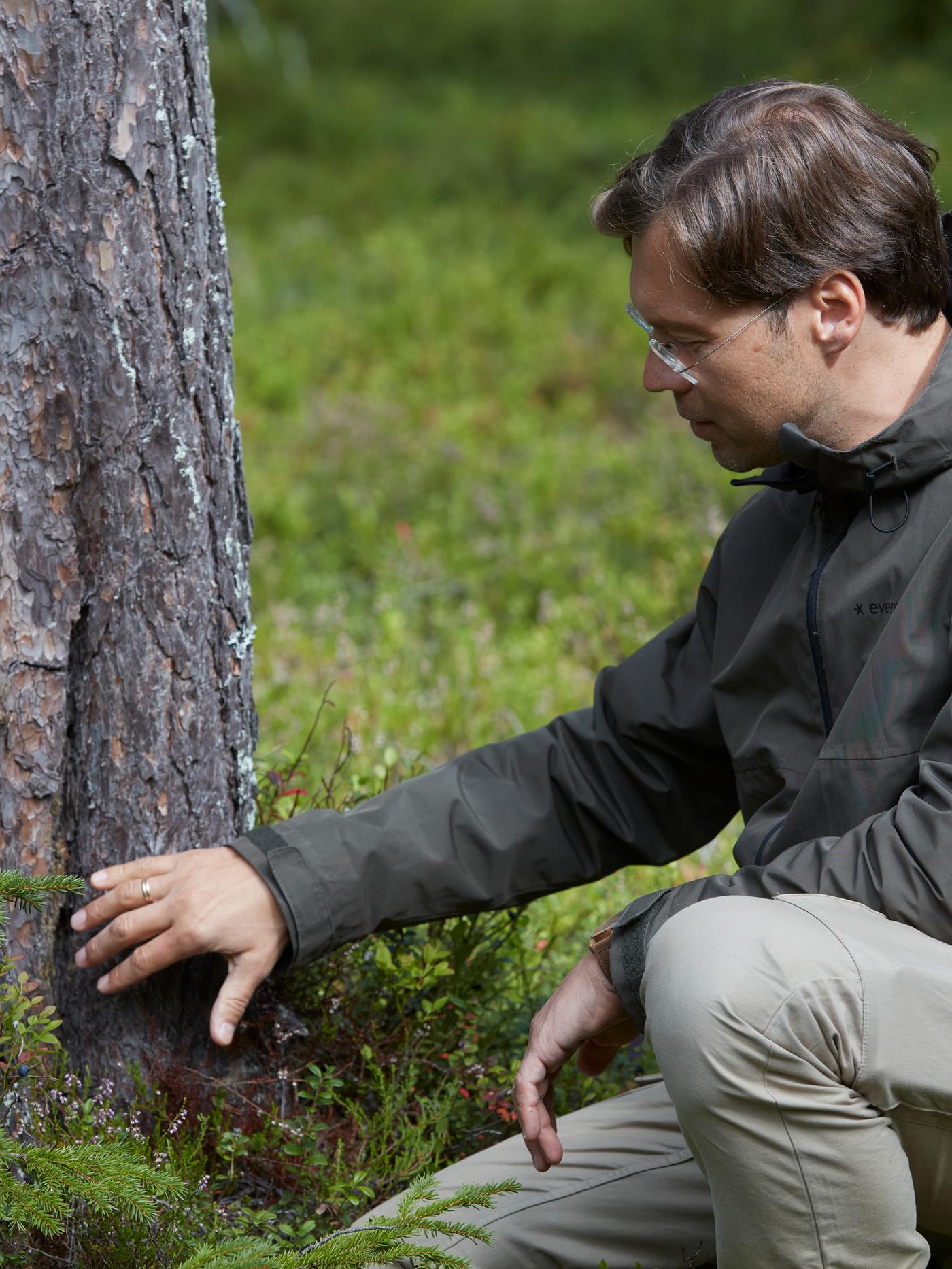 Mikhail Tarasov, ผู้จัดการด้านการป่าไม้โลกของอิเกีย ย่อตัวลงสัมผัสเปลือกของต้นไม้ด้วยมือข้างขวา