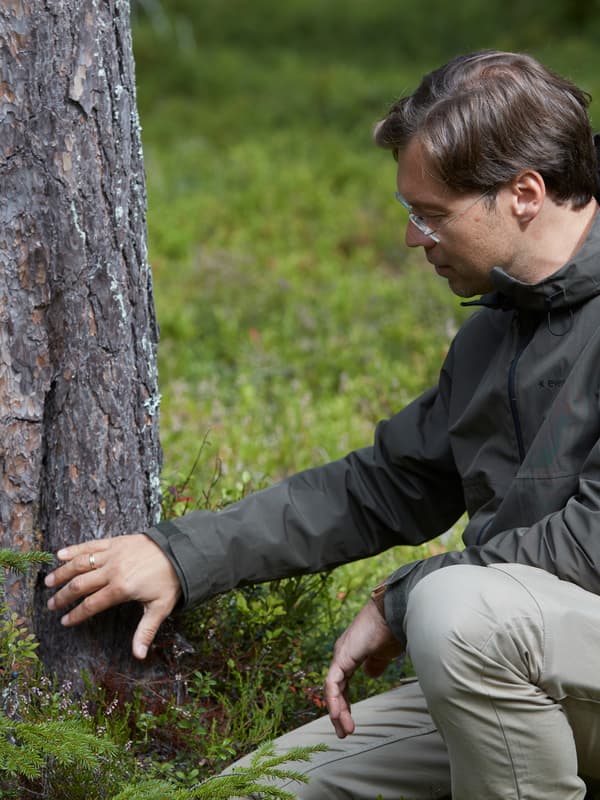 Mikhail Tarasov, Pengurus Perhutanan Global, IKEA membongkok untuk menyentuh kulit pokok dengan tangan kanannya.