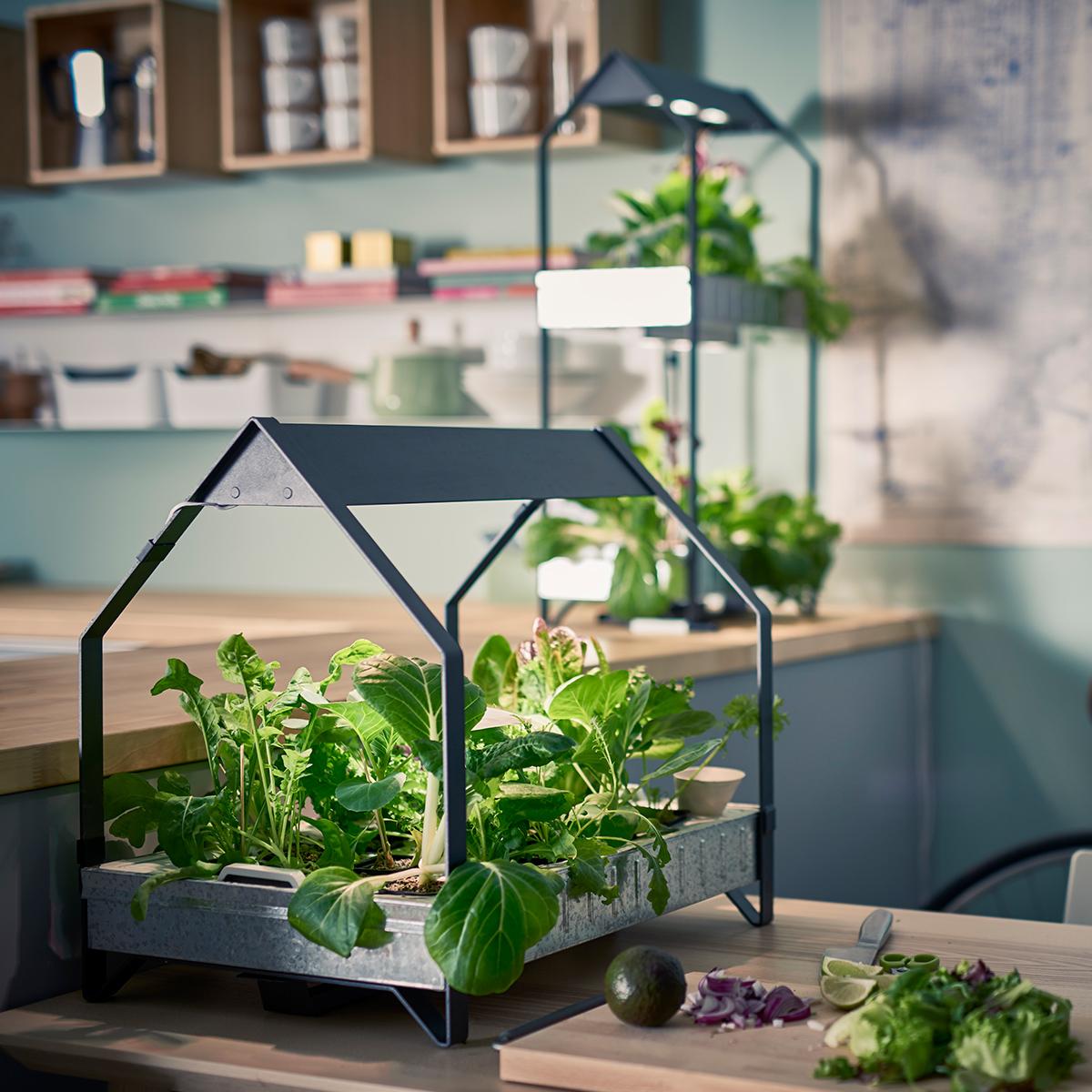 Ratgeber Tipps für Zimmergärten IKEA Schweiz