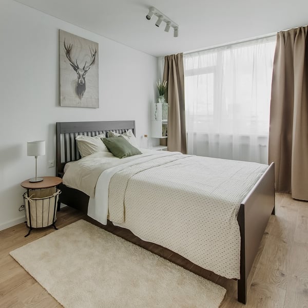 Modern bedroom with a dark wooden bed frame, cream bedding, and green accent pillows. A drum-style nightstand holds a small lamp, and a canvas art piece of a deer hangs above the bed. Natural light filters through sheer curtains paired with taupe drapes. A beige rug and wooden flooring enhance the cozy, minimalist style.