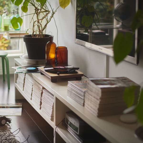 Modern house with plants and a tv in the picture