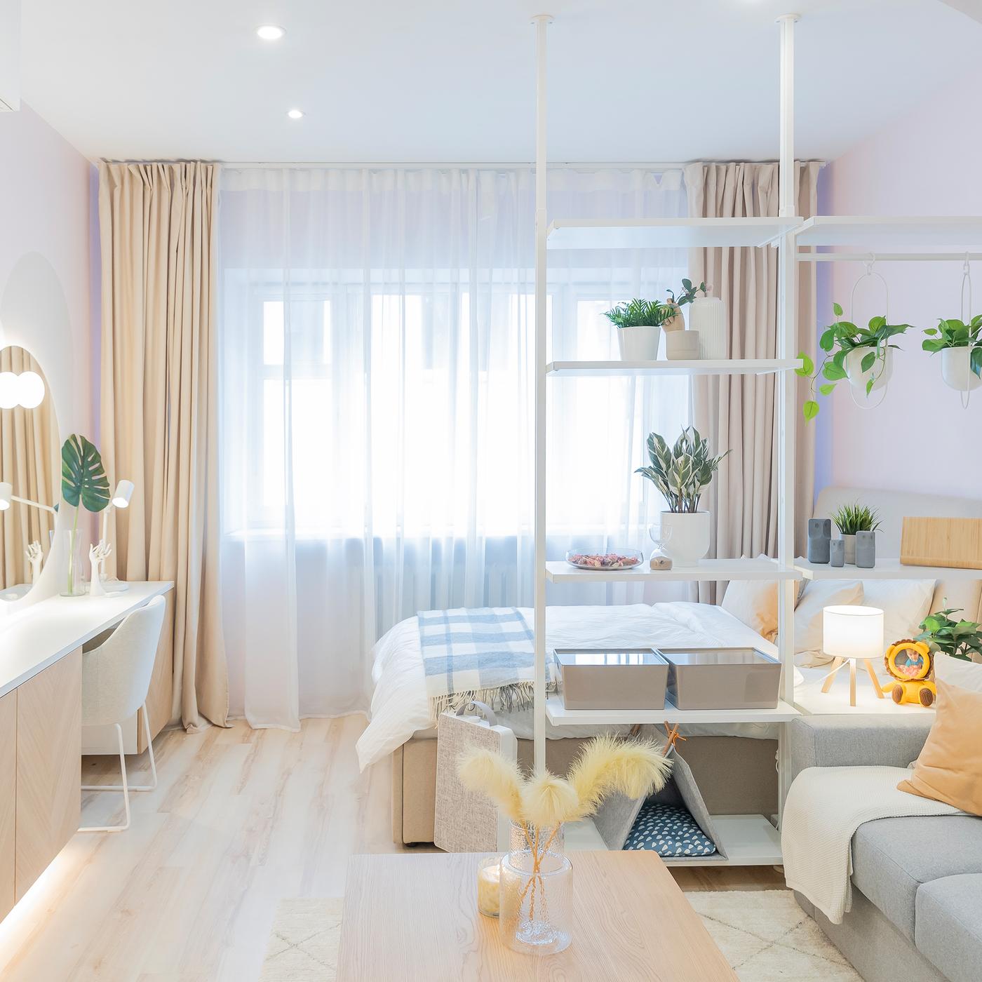 Modern studio apartment with bed, sofa and open shelving divider