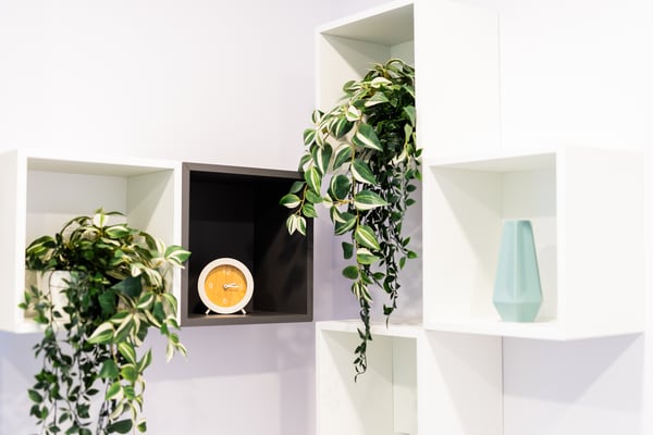 Modern wall shelving with decorative plants, clock, and minimalistic decor items in a salon.